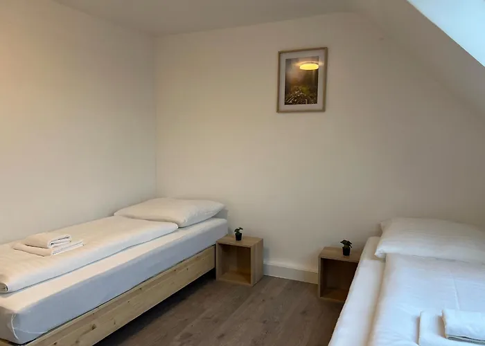 T&k - - 5 Detached House - 15 Min To Fair Messe Dus Vakantiehuis